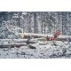 Pilarki łańcuchowe - Husqvarna 560&nbsp;XP® G Mark II Professional chainsaw